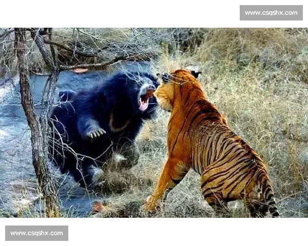 美洲虎与猎物的生死较量揭示了自然界中的生存法则与智慧